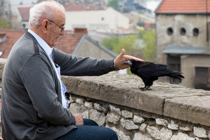 15. február - Deň osamelosti